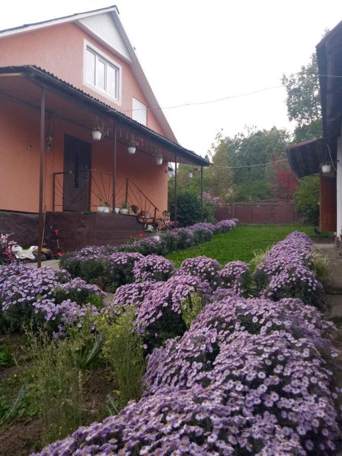 Gostynnyi Dvir U Marichky Hotel Lazeshchyna Eksteriør billede